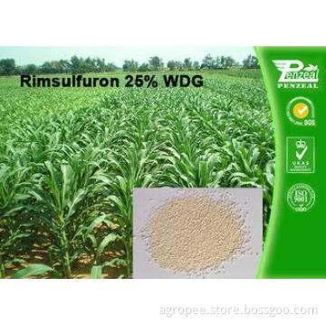 Rimsulfuron 25% WDG Selective Weed Killer For Lawns / Selec